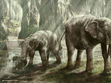 Platybelodon