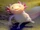 Domestic axolotl