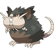Alolan Raticate.png (897 KB) Alolan Raticate