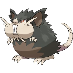 Alolan Raticate