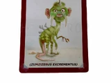Zumzizeroo