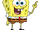 SpongeBob Squarepants's Species