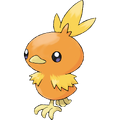 Torchic