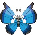 Marine Vivillon