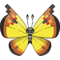 Continental Vivillon