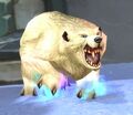Icepaw Bear