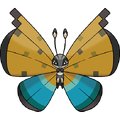 River Vivillon