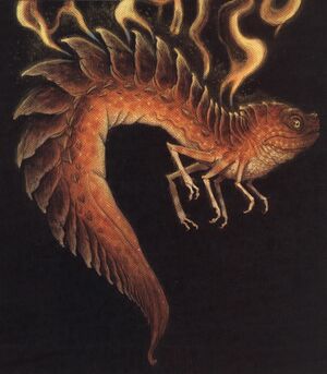Fire Salamander (Spiderwick).jpg