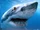 Megalodon