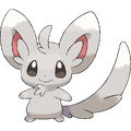 Minccino