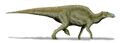 Edmontosaurus NT2