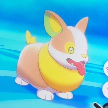 Yamper 1