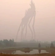 Misty Guest 3 image