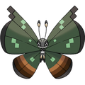 Jungle Vivillon