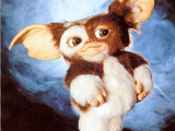 Mogwai