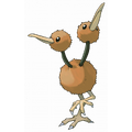 Doduo