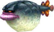Toado 1.png