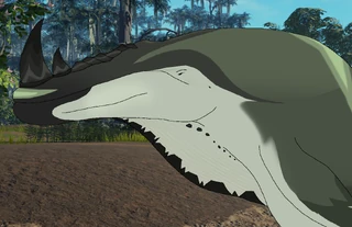 Male packfish portrait