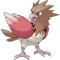 Spearow