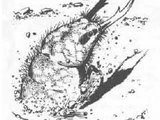 Ant Lion (Dungeons & Dragons)