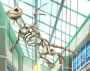 Dragonite Skeleton