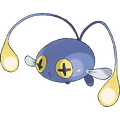 Chinchou