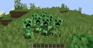 A group of young Creepers, affectionaly reffered to as "Creepies". (From the Savage and Ravage mod)