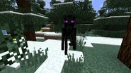Enderminion