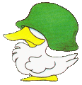 Duck Soldier