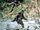 Bigfoot