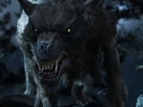 Warg