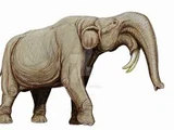 Deinotherium