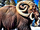 Mammoth with Rams