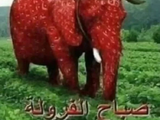 Strawberry elephant