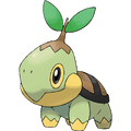 Turtwig