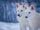 Dire Wolf