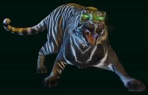 Black & White Tiger