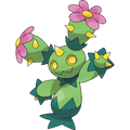 Maractus