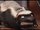 Honey badger