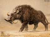 Erymanthian boar