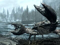 Skyrim Mudcrab