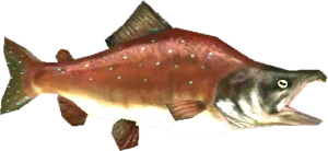 Reekfish