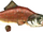 Reekfish