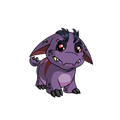 Darigan Poogle