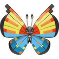 Ocean Vivillon