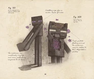 A picture from the Mobestiary showcasing an Enderman's internal anatomy. Note the very large brain.