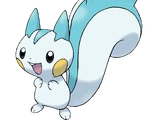 Pachirisu