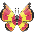 Sun Vivillon