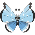 Tundra Vivillon