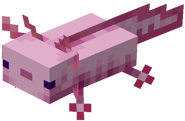E75sdiLVgAAzMJN.png (10 KB) A pink axolotl from Minecraft.